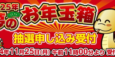 Yodobashi「2025年 夢のお年玉箱」 Yodobashi「2025年 夢のお年玉箱」
