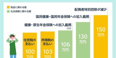 日本「年収の壁」 日本「年収の壁」